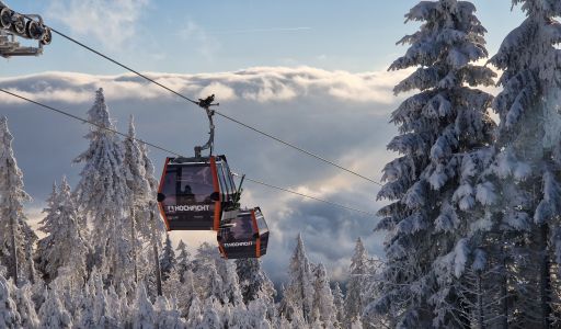 Ski- und Freizeitregion Hochficht