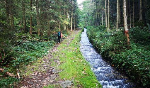 Steilstufenweg - Wandern am Schwarzenbergischen Schwemmkanal
