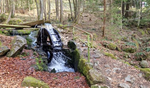 Waldsteig: Station Wasserrad